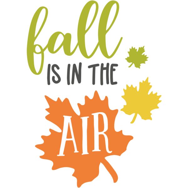 fall is in the air Thumbnail