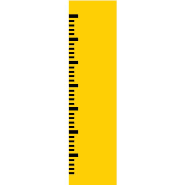 School Tools Ruler Thumbnail