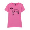 Softstyle™ women's ringspun t-shirt Thumbnail